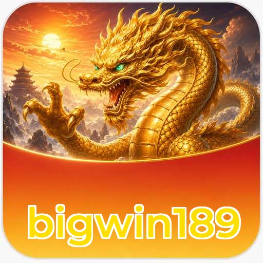 Audit profile bigwin189